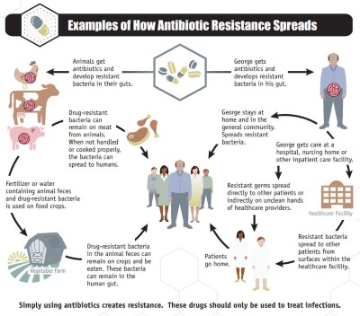 Antibiotic resistant bacteria size 400Custom