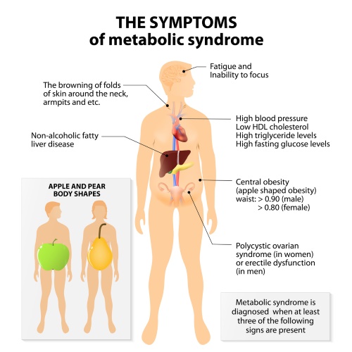 SymptomsOfMetabolicSyndrome.w500.web