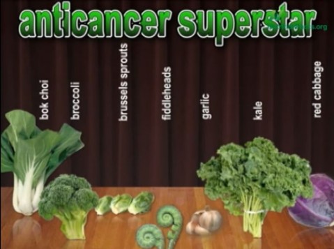 Which Foods Suppress Cancer Cell Growth?