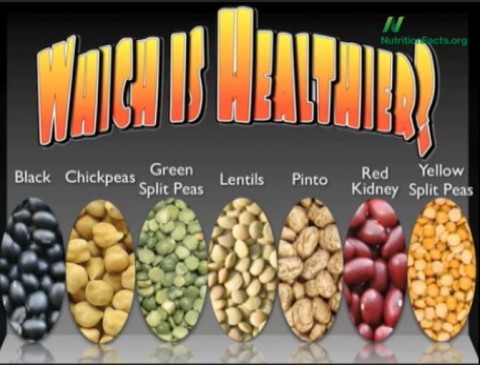 Which Beans Contain the Most Antioxidants?