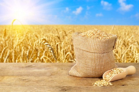 Healing Whole Grains Bathed In Sunshine