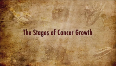 Colin Campbell Explains Cancer Growth