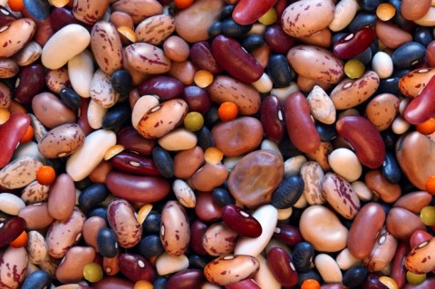 Can Eating Beans Promote Longevity?