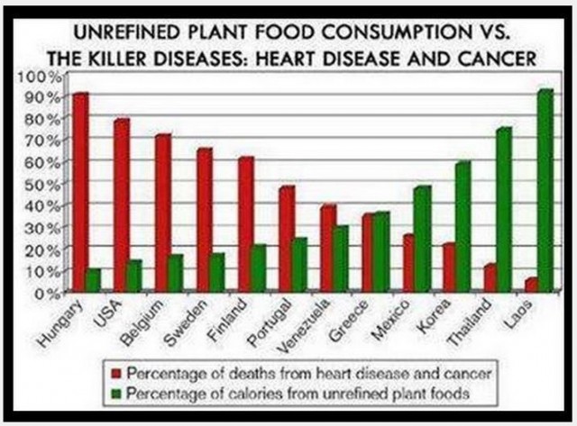 Low Plant Food Intake = Increased Rate of Disease
