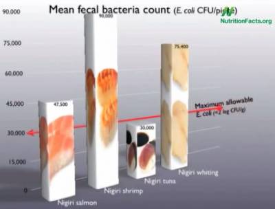 Fecal Bacteria Content in Sushi