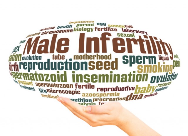Processed Meats Overlooked When Discussing Male Infertility?