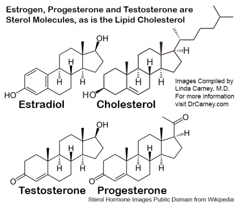 Four Hormone Similarities Illustrated