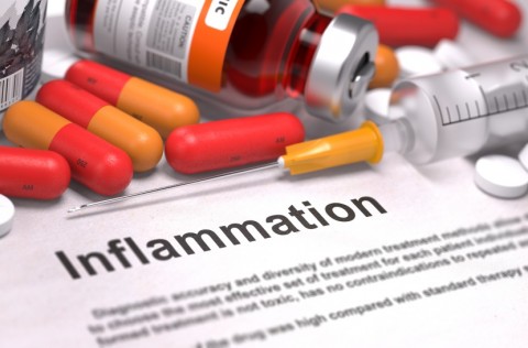 Why do Animal Products Cause Inflammation?