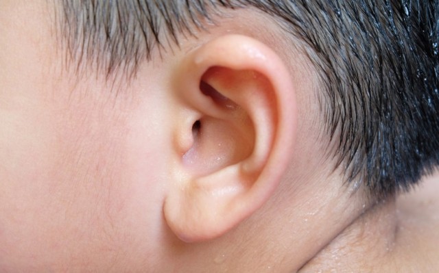 Dairy Associated With Recurrent Ear Infections